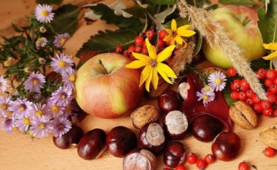 Evo koje su dobrobiti kestena za naše zdravlje