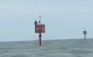 Nestao na Božić, pa pronađen živ na bovi(VIDEO)