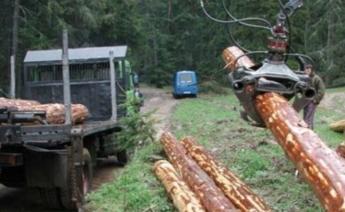 Za samo godinu dana: “Šume Srpske” u minusu od pet miliona maraka