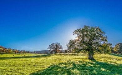 Pretežno sunčano i toplije