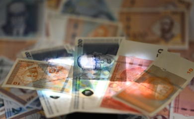 Srpska zbog neznanja i bahatosti ostala bez pola milijarde maraka