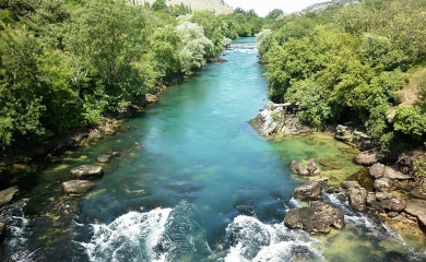 U Zeti otkrivena nova vrsta ribe, dobija ime po Nikšiću