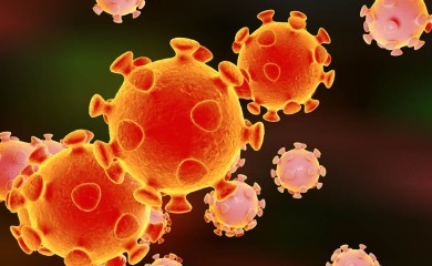 U Hrvatskoj zabilježena 804 nova slučaja zaraze korona virusom