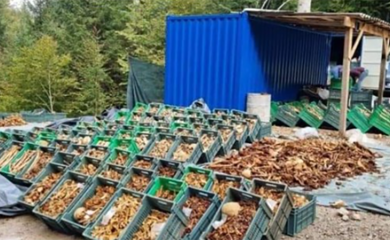 U Sloveniji pronađeni posmrtni ostaci 3.200 osoba
