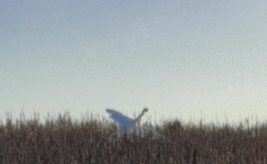Srušio se avion kod Prijedora, dvije osobe poginule
