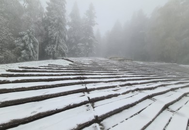 Zabiljelila krajiška ljepotica