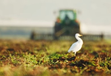 Svjetska turistička organizacija napravila listu najboljih sela za turiste: Jedno je kod Banjaluke (VIDEO)