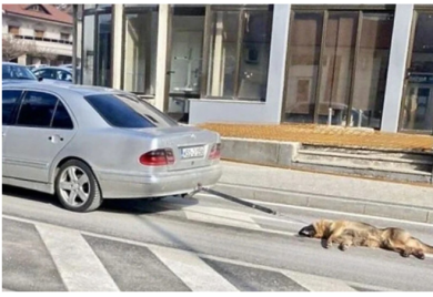 Zavezao psa za automobil i vukao po ulici