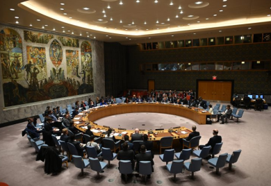 Savjet bezbjednosti o BiH; Alkalaj odustao od govora