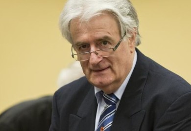 Porodica Radovana Karadžića tužila SAD