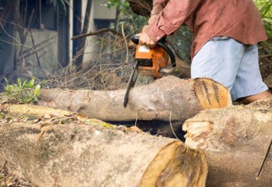 Tokom sječe šume poginuo muškarac