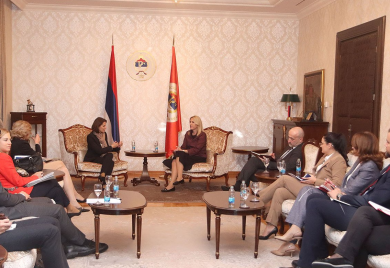 CVIJANOVIĆ: Članice EU da imaju principijelan pristup BiH