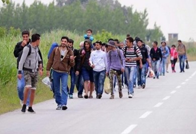 BiH: Povećan broj migranata i pokušaja krijumčarenja ljudi