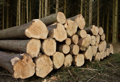 Po domaćinstvu maksimalno 7 paleta, vodiće se i evidencija kupaca