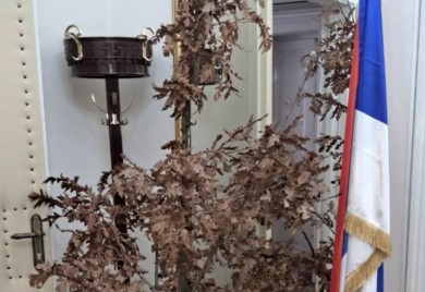TRADICIONALNO Unesen badnjak u kabinet srpskog člana Predsjedništva BiH