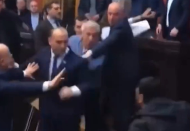 Kao u ringu: Opšta tuča u gruzijskom parlamentu (VIDEO)