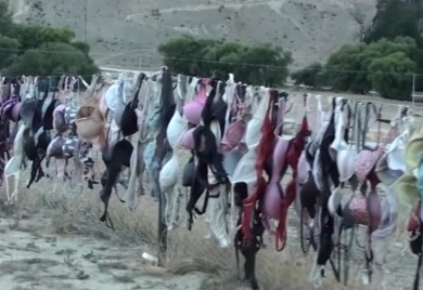 Jedinstvena turistička atrakcija: Ograda od grudnjaka postoji na Novom Zelandu VIDEO