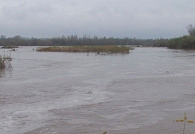 Drava u Hrvatskoj dostigla rekordan nivo, angažovana i vojska