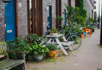 “Operacija saksija”: Amsterdam se “bori” protiv prevelikog broja saksija na ulicama