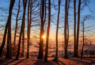 Vrijeme sunčano, temperatura do 24 stepena