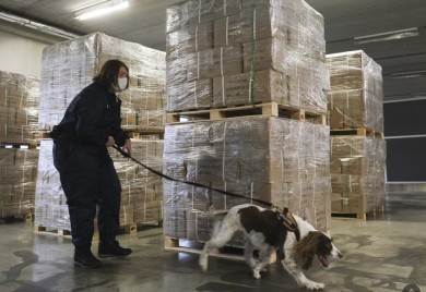 Droga bila namijenjena za tržište EU: U Rusiji zaplijenjeno 699 kilograma kokaina