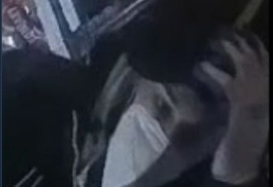 Provalnici haraju Nevesinjem, građani u strahu