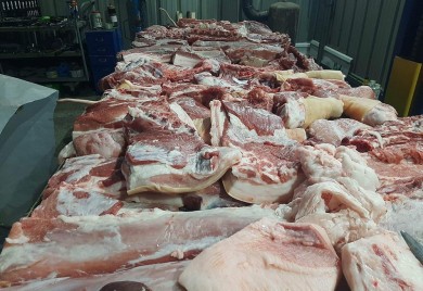 TRADICIJA: Svinjokolj -  dan kada se okupljaju porodica, prijatelji i komšije