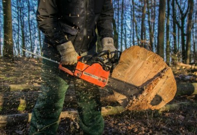 Kasne ugovori „Šuma RS“ sa drvoprerađivačima