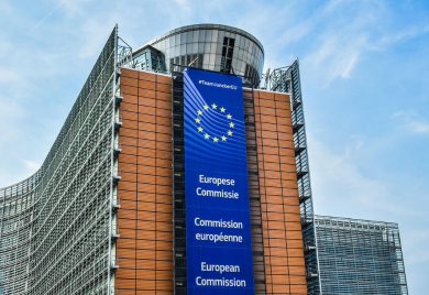Hoće li Ana Trišić Babić otvoriti pregovore s EU?
