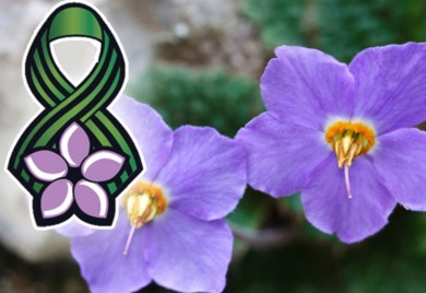 Dan primirja u Prvom svjetskom ratu