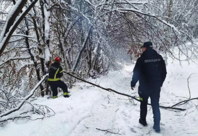 Srbija i dalje okovana snijegom: vanredna situacija u 11 opština, hiljade domaćinstava bez struje