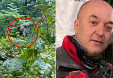 Načelnik GSS-a iz Foče oči u oči sa medvjedom: "To je svakodnevica" (VIDEO)