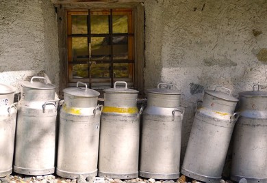 Farmeri svoje podsticaje ulažu u dalji razvoj mljekarstva