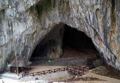 Otkrivena kolektivna grobnica u okolini Valjeva