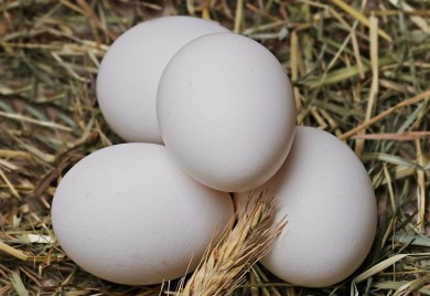 Otvaranje sajma domaćih proizvoda u Banjaluci