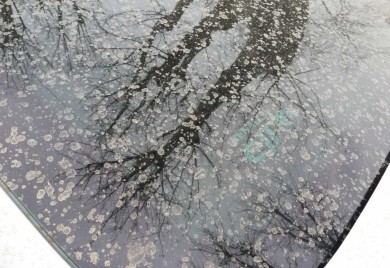 Veliki oblak saharske prašine stiže u Hrvatsku