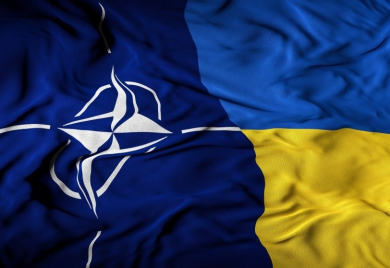 REZNIKOV: Ukrajina daje značajan doprinos svojim članstvom u NATO