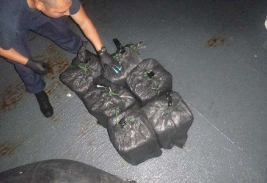 Albanski klanovi kontrolišu britansko tržište kokaina