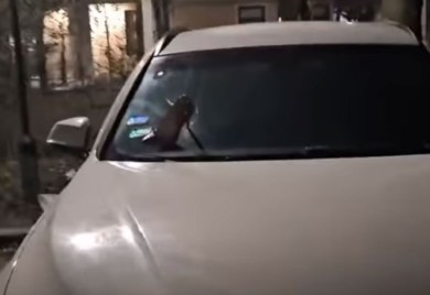 Burna noć u Beogradu: Crvena štikla zabodena u šajbu bijelog BMW-a (VIDEO)