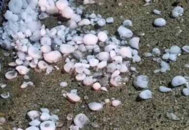 Grad uništio usjeve u selima na području Gradiške i Laktaša