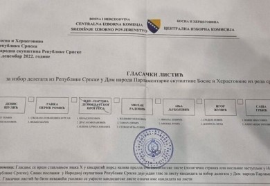 CIK potvrdio rezultat, Vuković u Domu naroda