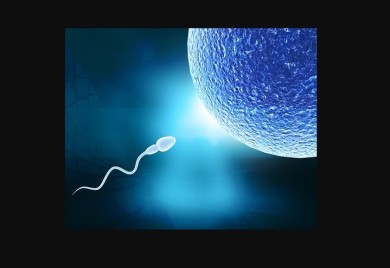 Broj spermatozoida u konstantnom padu – prijeti li čovječanstvu reproduktivna kriza