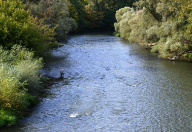 Pronađeno tijelo žene bez znakova života: Njen nestanak prijavljen juče
