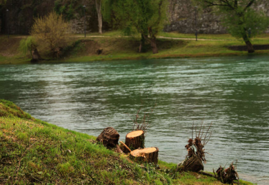 "PO ČIJEM NALOGU" SNSD traži utvrđivanje odgovornosti zbog sječe stabala uz Vrbas