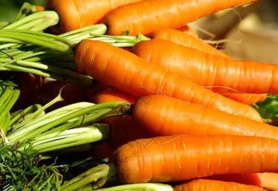 Republički inspektorat zabranio uvoz 19.000 kilograma mrkve zbog pesticida