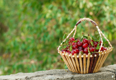 Trešnje koštale i do 30 KM i uglavnom propadaju u marketima