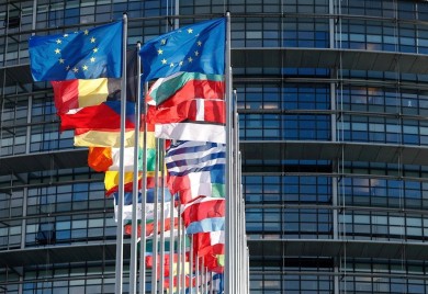 Pet "glasačkih plemena" u trci za Evropski parlament