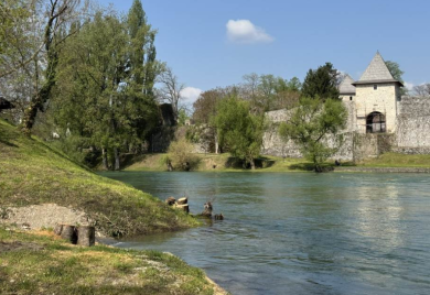 Grad priznaje propust zbog sječe stabala, "Vode Srpske" negiraju saglasnost