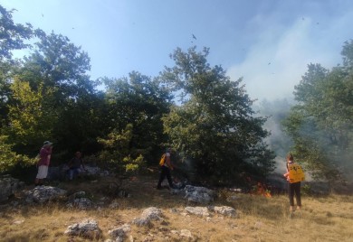Nevesinje: Vatrogasci na Morinama brane kolibe sa stokom