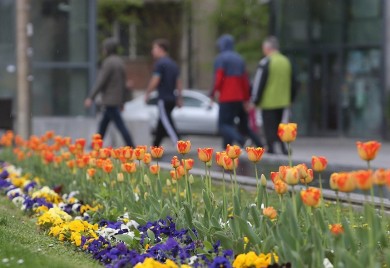 Prvi put u Banjoj Luci biće priređen Jesenji festival cvijeća i plodova